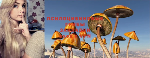 гидропоника Зерноград