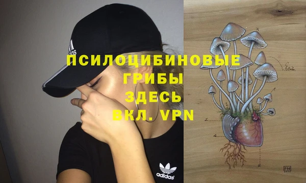 гидропоника Зерноград