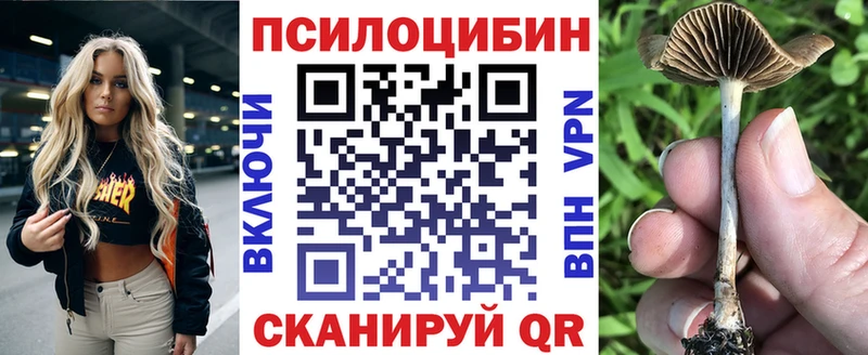 Галлюциногенные грибы Magic Shrooms  сколько стоит  мега ТОР  Шебекино 
