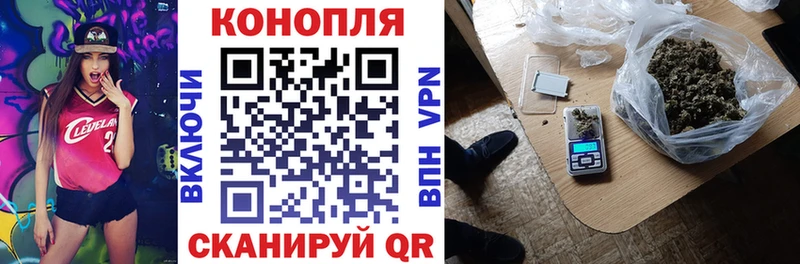 Бошки Шишки конопля  где купить наркоту  Шебекино 